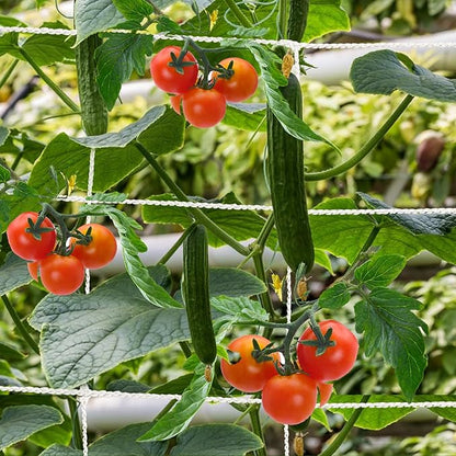 Mellbree Trellis Netting for Climbing Plants, 16.4x6.6FT 2Packs Heavy Duty Trellis Net for Climbing Plants Outdoor, Cucumber, Tomatoes, Peas, Vegetable and Vine