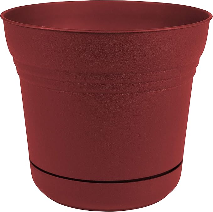 Bloem SP0513 Saturn Planter w/Saucer 5" Burnt Red, 5"