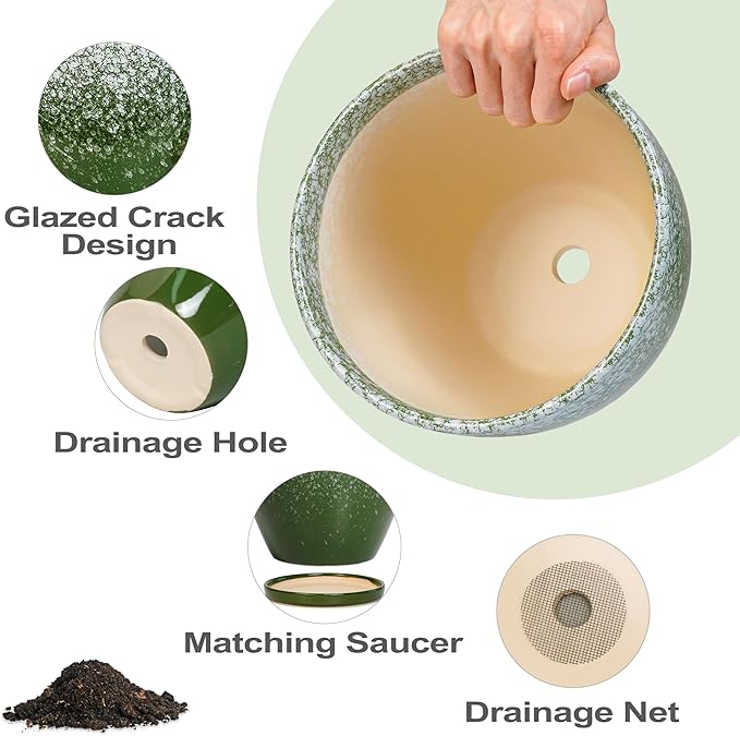 Ceraimc Plant Pot - 6.3 Inch Planter with Drainage and Plant Tray, Round Succulent Planters, Decorative Flower Pot for Indoor, Room Office Patio House Decor, Gifts for Women Men, Green