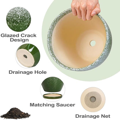 Ceraimc Plant Pot - 6.3 Inch Planter with Drainage and Plant Tray, Round Succulent Planters, Decorative Flower Pot for Indoor, Room Office Patio House Decor, Gifts for Women Men, Green