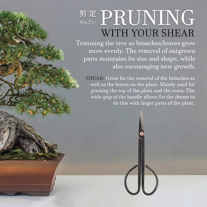BambooMN 7.2" Black Bonsai Trimming Shear - 1 Piece