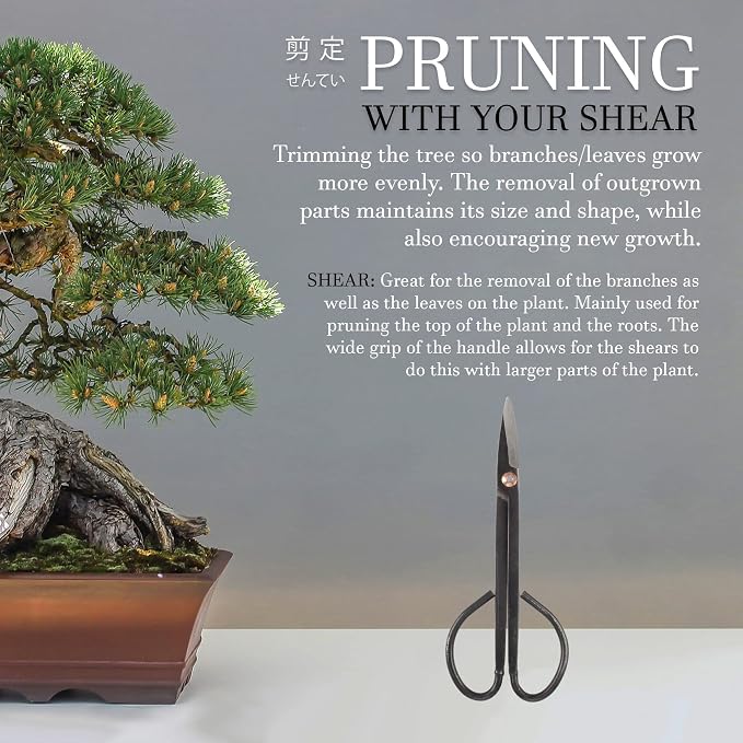 BambooMN 7.2" Black Bonsai Trimming Shear - 30 Pieces