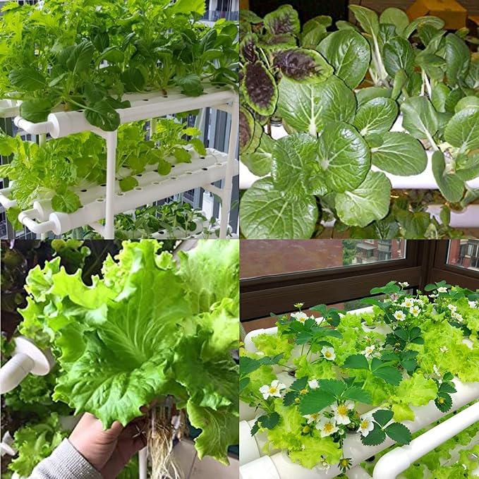 Hydroponics Growing System Kit,108 Plant Sites 3 Layers Food-Grade PVC-U Pipes Hydroponic Grow Kit Gardening System with Water Pump, Timer,Net Pots and Sponge for Vegetables,Fruits,Herb