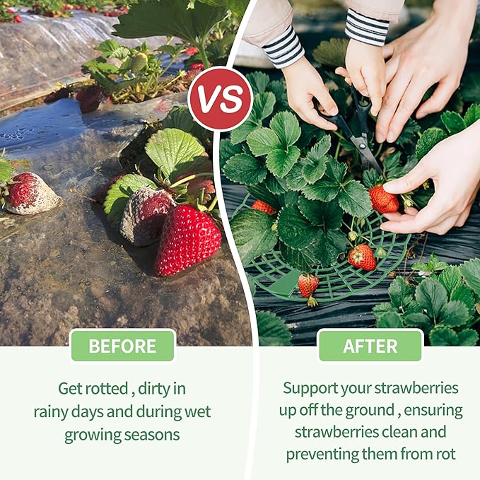 5 Packs Strawberry Supports - Reusable Strawberry Plant Stand Waterproof Growing Frame Plastic Fruit Tray Protectors Sturdy Strawberry Growing Racks to Keep Strawberries Off Mold, Rot and Dirt