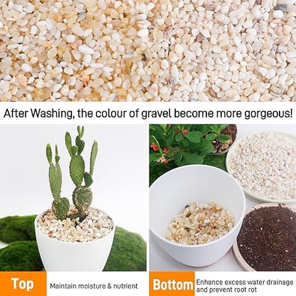 CJGQ 2.4lb Aquarium Gravel for Plants,1/5 Inch Natural Decorative River Rocks for Succulent and Cactus Landscaping, Natural Small Rocks for Fish Tanks, Vases & Terrariums