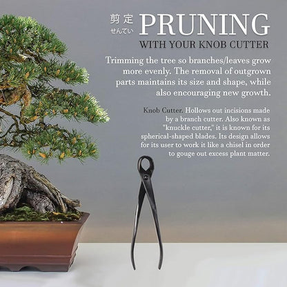 BambooMN Bonsai Tool Kit - 8" Concave Cutter & 8" Knob Cutter - 10 Sets
