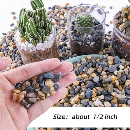 CJGQ 18lb 1/4/'' Polished Pebbles for Plants Potting,Succulents Aquarium Fish Tank Vases-Decorative River Rocks Garden Gravel Stones