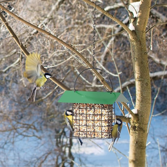 FLINTER Bird Feeder for Outdoors, Suet Feeder Hanging Bird Feeder, Adjustable Chain Hanging for Garden Yard Outside - Suet Cake Feeders to Attracting Birds