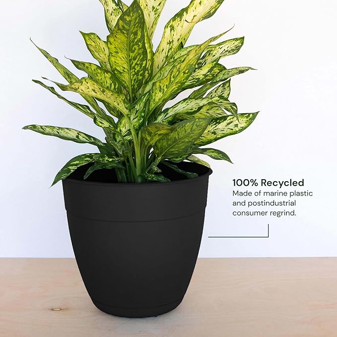 Bloem Dayton 6" Black Recyled Plastic Planter Pot with Drainage Holes and Removable Saucer for Indoor and Outdoor Gardening