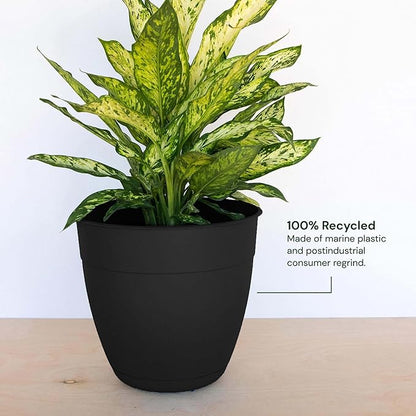 Bloem Dayton 6" Black Recyled Plastic Planter Pot with Drainage Holes and Removable Saucer for Indoor and Outdoor Gardening