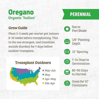 Back to The Roots 100% Organic Heirloom Seeds - Oregano Value Pack (140mg Total)