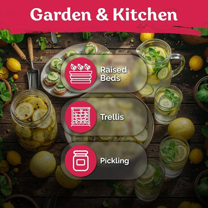 KVITER 75 Lemon Cucumber Seeds (Cucumis Sativus) - Yellow Garden Lemon Seed Packets, Mild Flavor, Heirloom Seed - Vegetable Seeds for Outdoor Home Garden, Raised Beds, Ideal for Pickling & Salads