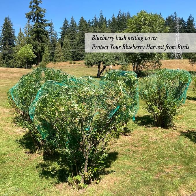 Bird Netting for Garden 6.5X50 FT, 1/4 Inch Mesh, Protect Blueberry, Strawberry, Tomatos, Vegetables. Fruit Tree Netting for Cicadas Against Deers, Squirrels, Bunnies, and Small Critters.
