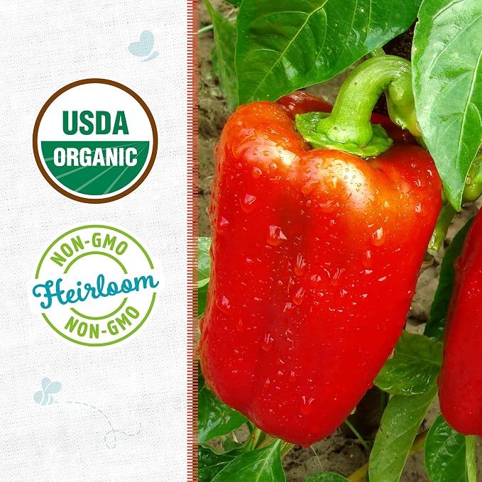 Back to The Roots 100% Organic Seed Packet Bell Pepper 'Sweet Cal Wonder'