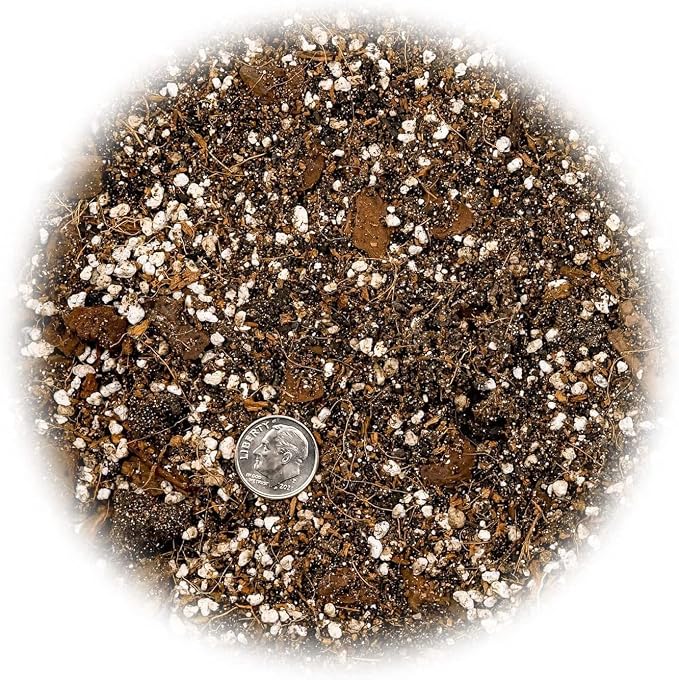 GARDENERA Premium Spider Plant Potting Soil Mix - (2 Quart Bag)