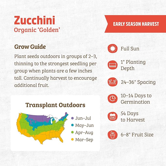 Back to The Roots 100% Organic Heirloom Seeds - Yellow Zucchini Squash Value Pack (4g Total)
