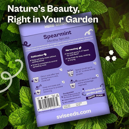 SVI 1250 Spearmint Seeds (Mentha spicata) – Mint Green Seed Packets, Aromatic Mint Leaves Fresh for Spearmint Tea, Natural Herbs – Heirloom Herb Seeds Indoor Herb Garden & Outdoor Garden, Containers