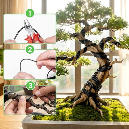 Bonsai Wire Kit, 147 Feet Total 5 Sizes Aluminum Plant Wire for Bonsai Training, Essential Bonsai Tools