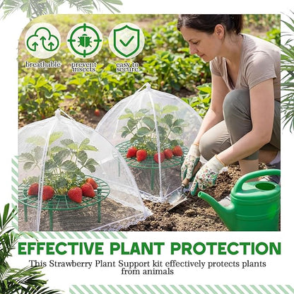 1 Sets Round Strawberry Plant Support with Mesh Plant Cover, Strawberry Growing Kit with Iron Nails for Garden Vegetables Keep Berries Clean