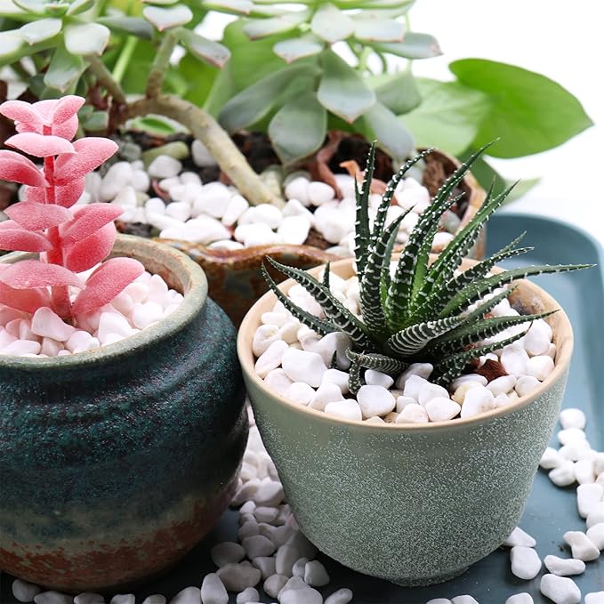 White Rocks. Decorative Pebbles. 1/5 Inch 5 lbs for Garden, Landscaping, Indoor, Vase fillers, Crafting, Succulents, pots, Plants (Mini (0.2 Inch), Tumbled, 5)