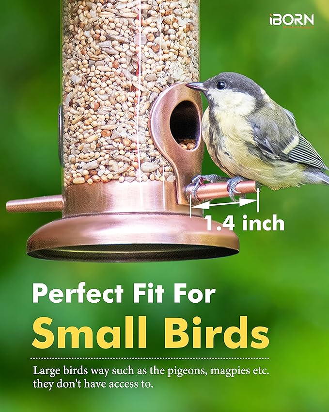 iBorn Metal Bird Feeder Hanging Wild Bird Feeders for Mix Seed Blends Heavy Duty All Metal Finishing, Copper Finish, 9 Inch 2 Port (Seed is not Included)