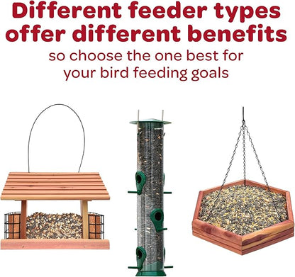 Kaytee Wild Bird Finch Food Blend, 5 lb (Pack of 2)