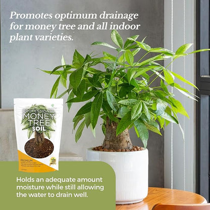 Professional Money Tree Soil Mix Large 2.2 Quarts Ready to Use, Premium Indoor Potting Soil for Money Tree Plants, Peat Moss Coco Coir Perlite Dolomite, Fast Draining Nutrient Rich Blend Made in USA