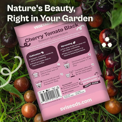 SVI 50 Black Cherry Tomato Seeds (Solanum Lycoperscium) - Black Cherry Tomatoes Seed Packets, Sweet Heirloom Tomato on Vine - Non GMO Vegetable Seeds for Outdoor & Indoor Garden, Containers