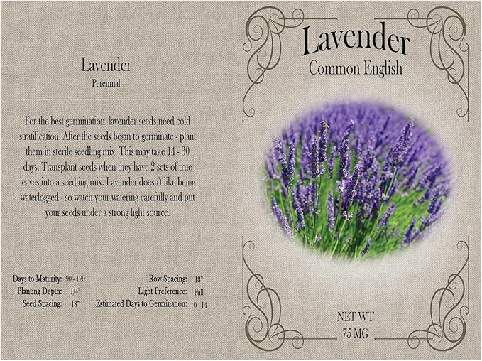 Set of 124 Premium Variety Flower Seed Packets - Heirloom Non-GMO and Proudly Sourced in The USA (124)