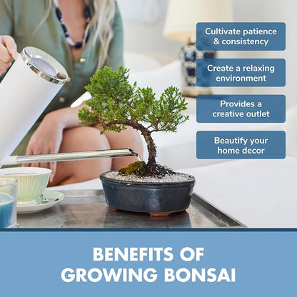 Garden Republic Bonsai Tree Kit - Mini Bonsai Seeds, 4 Types - Seed Starter Plant Growing Kit - Potting Soil Jute Bags Pruning Shears Tool and Plant Markers