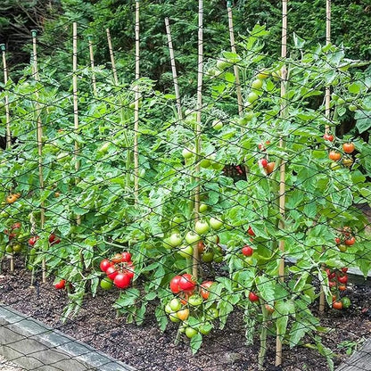 30 x 50 FT Bird Netting for Garden, 1" Square Mesh Size Heavy Duty Nylon Chicken Coop Netting for Blueberry Bushes, Fruit Trees and Vegetable Against Birds, Deer, Squirrels (30X50FT)