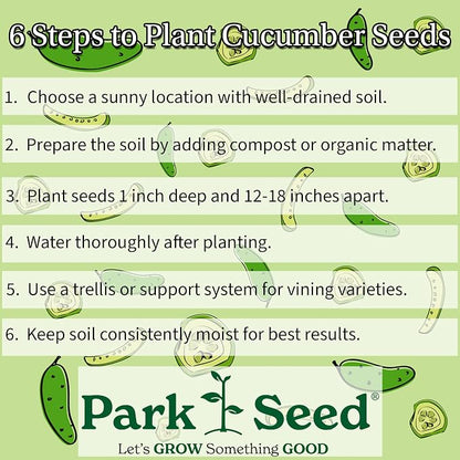 Park Seed Variety of Cucumber Seeds, Planting Cucumbers, Vegetable Seeds, Easy to Grow, Non-GMO, Perfect for Harvesting, Diva, Pack of 30