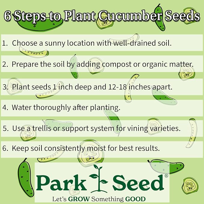 Park Seed Variety of Cucumber Seeds, Planting Cucumbers, Vegetable Seeds, Easy to Grow, Non-GMO, Perfect for Harvesting, Mini-Me F1 Organic, 2 x Pack of 10