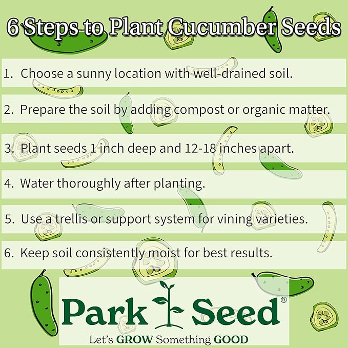Park Seed Variety of Cucumber Seeds, Planting Cucumbers, Vegetable Seeds, Easy to Grow, Non-GMO, Perfect for Harvesting, Mini-Me F1 Organic, Pack of 10
