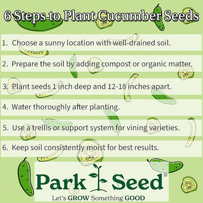 Park Seed Variety of Cucumber Seeds, Planting Cucumbers, Vegetable Seeds, Easy to Grow, Non-GMO, Perfect for Harvesting, Mini-Me F1 Organic, Pack of 10