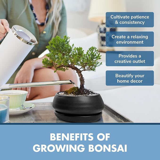 Garden Republic Bonsai Tree Kit - Mini Bonsai Seeds, 3 Types with Stylish Stone Pots, Pruning Shears Tool, Plant Markers, Wood Gift Box, and Potting Soil