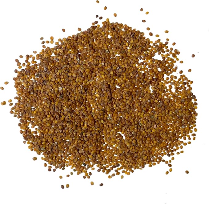 Seed Needs Alyssum Seeds Variety Pack of 4 Groundcover Flowers to Plant