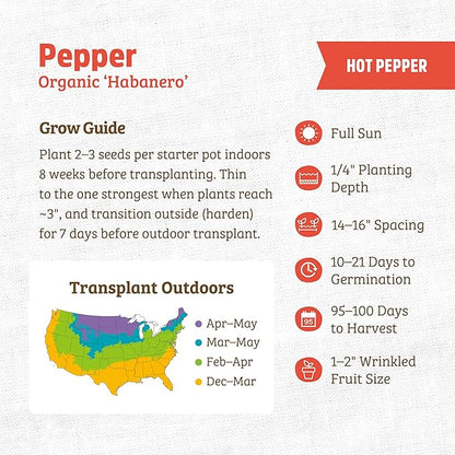 Back to The Roots 100% Organic Heirloom Seeds - Habanero Pepper Seeds for Planting Value Pack (280mg Total)