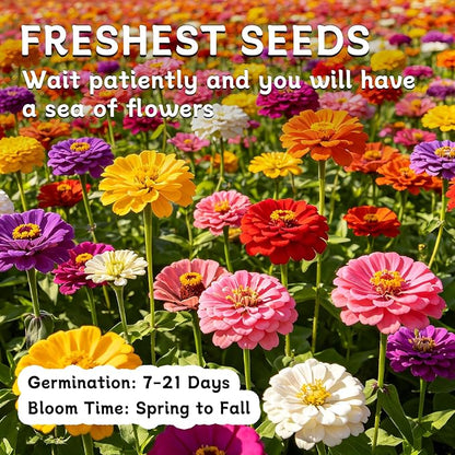 LUOJIBIE Zinnia Seeds for 2026, 10,000+ California Giant Zinnia Seeds Bulk, Double Dahlia Zinnia Mixed Color Seeds, Flower Seeds for Planting Outdoor Garden, Non-GMO Heirloom, Easy to Grow