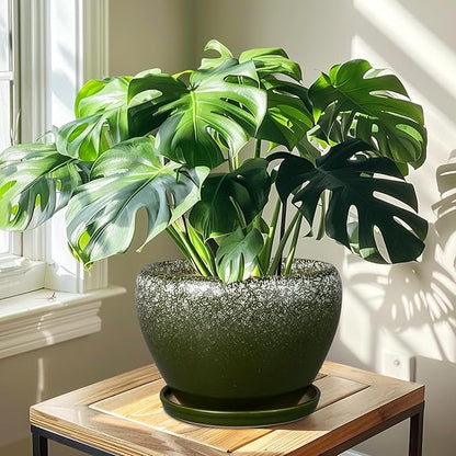 10 Inch Planter Pot - Ceramic Pots for Plants with Drainage Hole and Saucer, Round Large Flower Pot for Indoor Plants, Dark Green