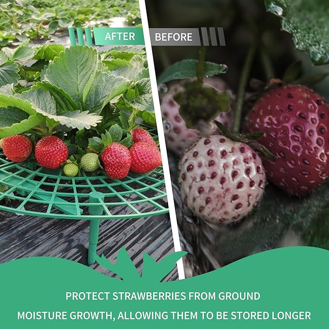 SooGree 10 Pack Strawberry Supports, Garden Fruit Plant Cage Strawberry Holder Cradles Plastic Tray Keep Strawberries Off Rot and Dirt