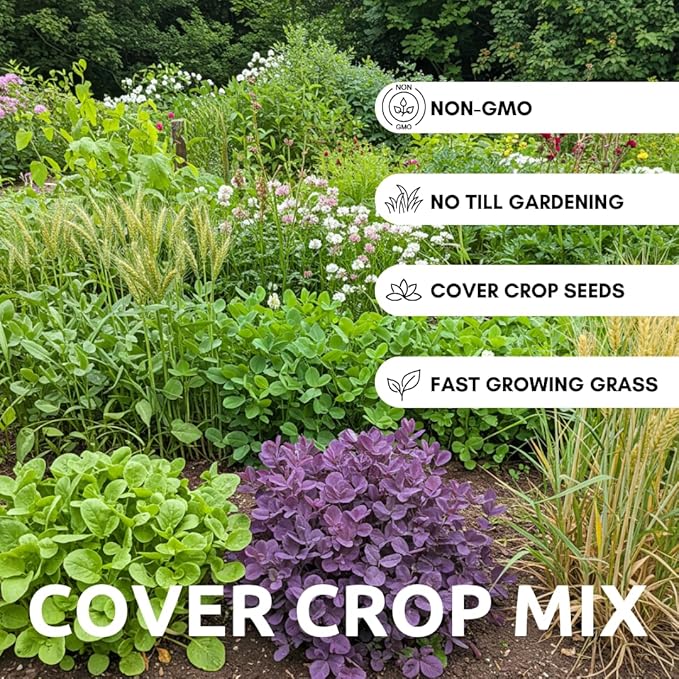 No-Till Cover Crop 10 Seed Mix - Winter Rye, White Clover, Austrian Winter Peas, Triticale, Crimson Clover, Cow Peas, Daikon Radish, Purple Turnips, Wheat, Oats, (1 Pound)