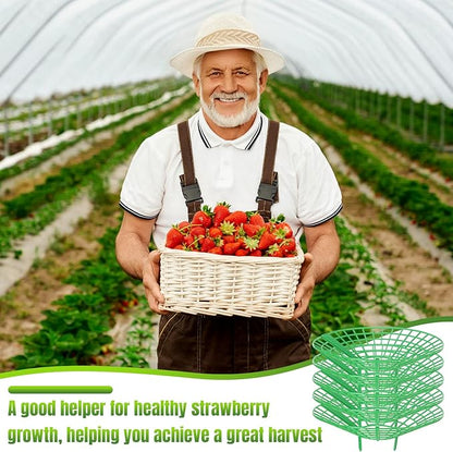 45 Pieces Strawberry Supports Strawberry Plant Holders Stand Waterproof Strawberry Plant Trellis Protectors Reusable Strawberry Growing Racks Frame for Plant Flower Fruit Strawberry Garden Planting
