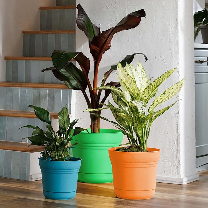 Bloem Saturn 12" Mango Round Resin Planter Pot with Snap-in Saucer for Indoor and Outdoor Gardening