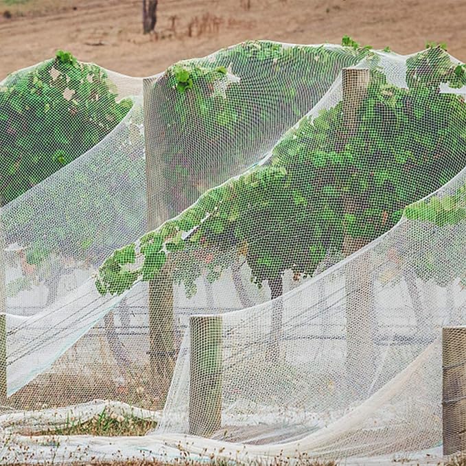 PURPLE STAR 1N 6 x 7 Feet Insect Bird Barrier Netting Mesh with Drawstring, Garden Bug Netting Plant Cover for Protect Plant Fruits Flower from Insect Bird Eating