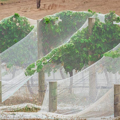PURPLE STAR 1N 6 x 7 Feet Insect Bird Barrier Netting Mesh with Drawstring, Garden Bug Netting Plant Cover for Protect Plant Fruits Flower from Insect Bird Eating