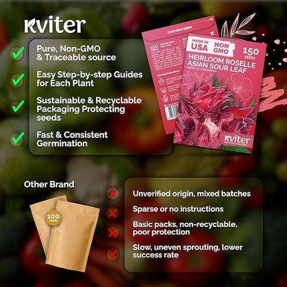 KVITER 150 Roselle Seeds for Planting (Hibiscus Sabdariffa) – Jamaican Sorrel/Cranberry Hibisco Seeds/Gongura Seed/Sour Leaf Seed – Perfect for Hibiscus Tea Organic, Outdoor & Indoor Garden