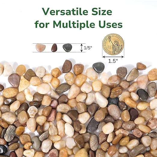 GreatBuddy 2.5-lb Decorative Rocks for Plants, 1/5" Pea Gravel for Fish Tanks, Aquariums, Terrarium, Drainage Pebbles for Potted Plants, Succulents, Garden Landscaping, Crafts, Indoor&Outdoor