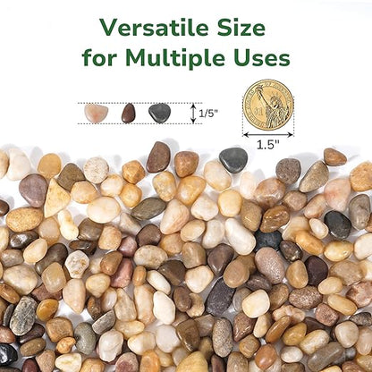 GreatBuddy 2.5-lb Decorative Rocks for Plants, 1/5" Pea Gravel for Fish Tanks, Aquariums, Terrarium, Drainage Pebbles for Potted Plants, Succulents, Garden Landscaping, Crafts, Indoor&Outdoor
