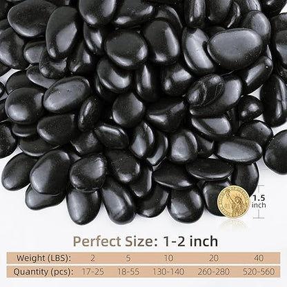 Black River Rocks 20lbs, 1-2Inch Natural Pebbles for Plants, High Polished Decorative Stones for Aquarium Vase Filler Fish Tank Landscaping Garden